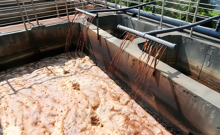 染料生產(chǎn)廢水處理與脫水設(shè)備運行要點